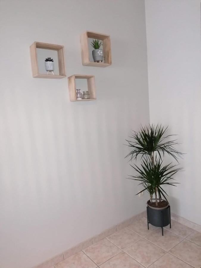 Superbe Appartement De 65M2 A 6061 Montignies-Sur-Sambre Charleroi Eksteriør billede